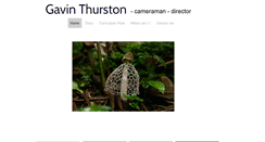 Desktop Screenshot of gavinthurston.com