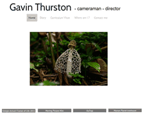 Tablet Screenshot of gavinthurston.com